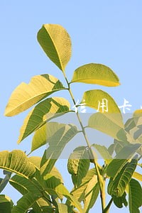 信用卡快要逾期 房子卖不掉 信用卡快要逾期 房子卖不掉